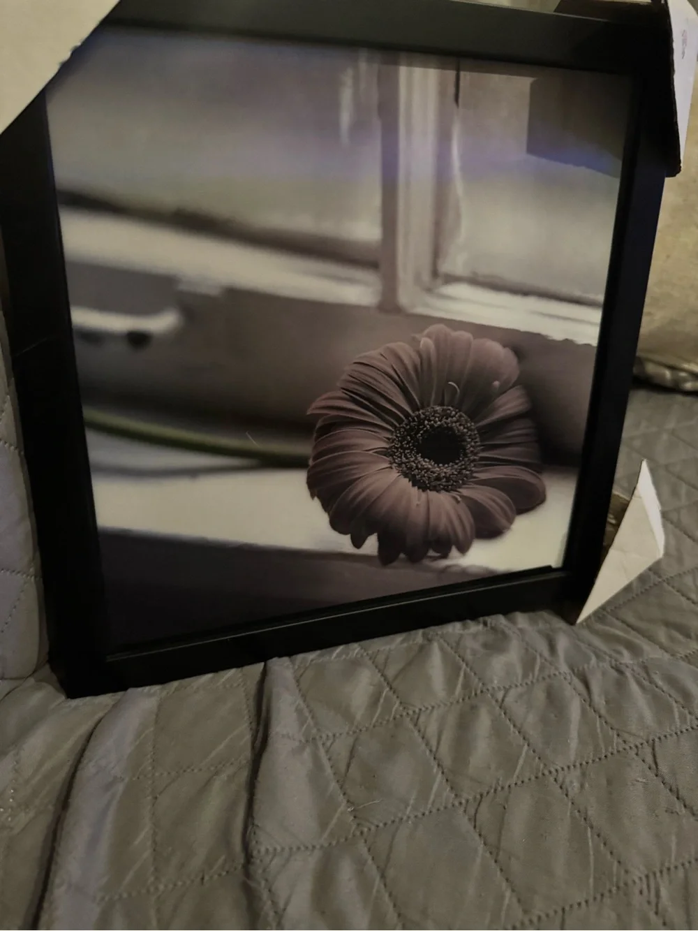 Framed Red Gerbera Daisy Wall Art